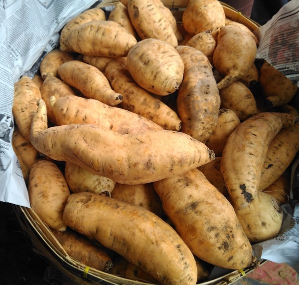 ketela 500gram